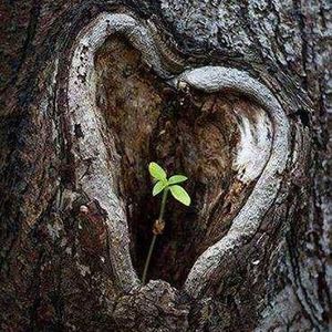 Meet your Posher, Lucas